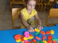 DSCF3181