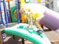 DSCF3239