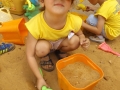 DSCF3245