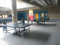 DSCF0223