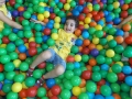 DSCF3294
