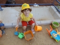 DSCF3310