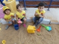 DSCF3312