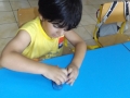 DSCF3329