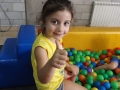 DSCF3534