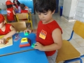 DSCF3551