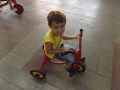 DSCF3556