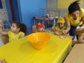 DSCF3562