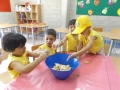DSCF3564