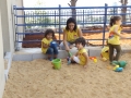 DSCF3582