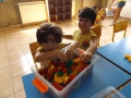 DSCF3598