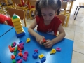 DSCF3619