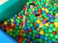 DSCF3650