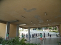 DSCF0061