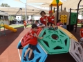 DSCF3882