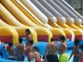 DSCF0135