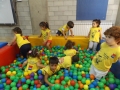 DSCF4033