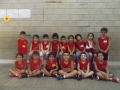 Div D