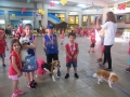 8-Chien