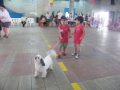 DSCF0379
