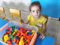 DSCF4202