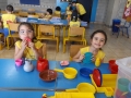 DSCF4206