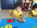 DSCF4208