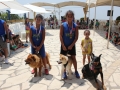 Chien Grand