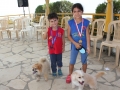 Chien Petit