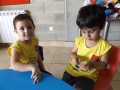 DSCF4263