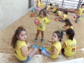 DSCF4275