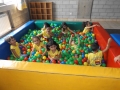 DSCF4315