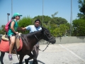 DSCF0172