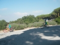DSCF0016