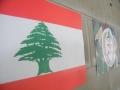 DSCF0133