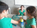 DSCF0152