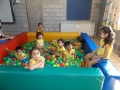 DSCF4530