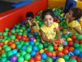 DSCF4532
