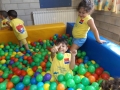 DSCF4533