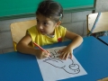 DSCF4637