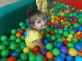 DSCF4654