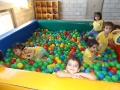 DSCF4890