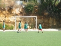 DSCF0101