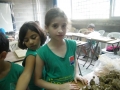 DSCF0028