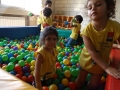 DSCF5225