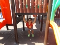 DSCF5356