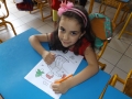 DSCF5405