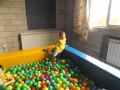 DSCF5530