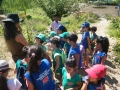 DSCF0099
