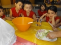 DSCF5633
